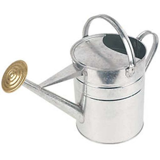 Picture of Galvanised Watering Can - 9ltr