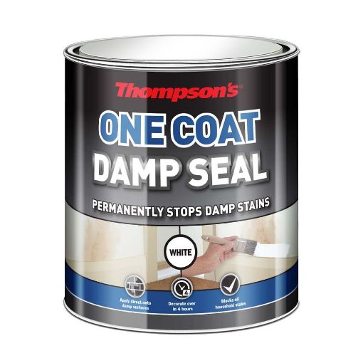 Picture of Ronseal Paint Thompsons One Coat Dampseal 250ml