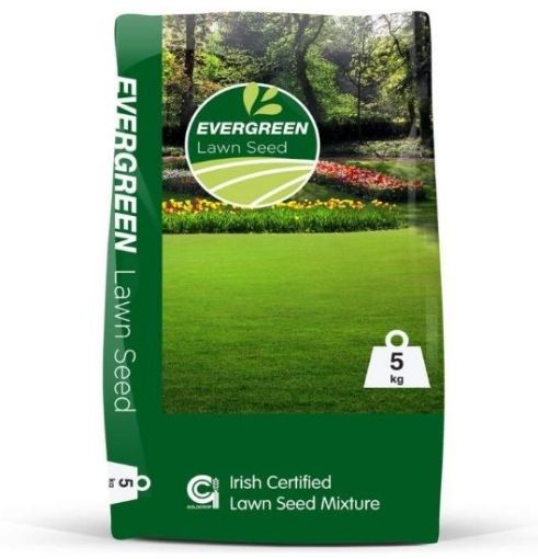 Picture of Evergreen Lawn Seed - 5kg
