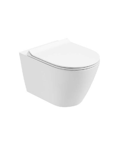 Picture of Scala Wall Hung Rimless Wc & Seat